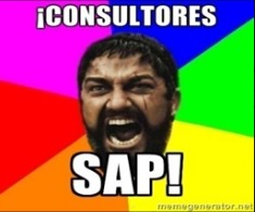 Consultores SAP - Consultoria-SAP