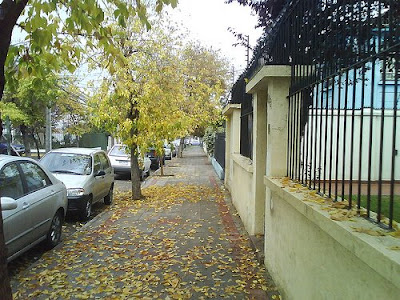 Otoño en mis pies