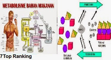 Metabolisme Tubuh