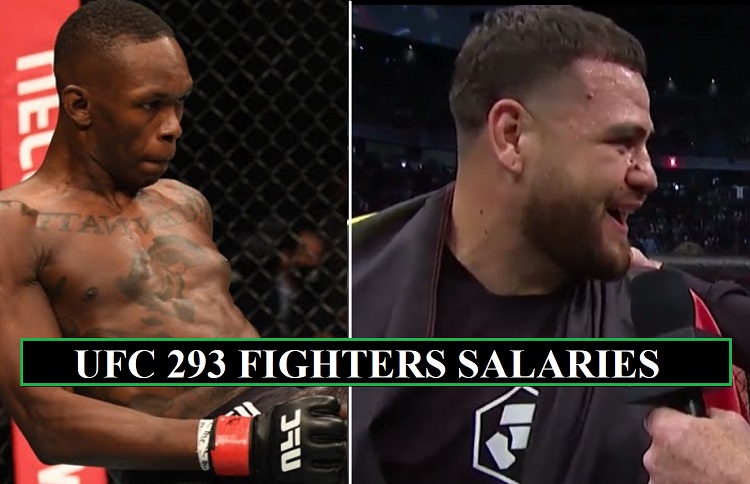 UFC 293 Salaries