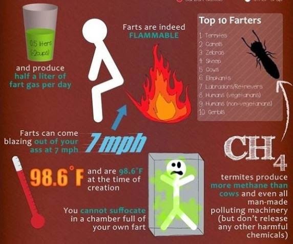 http://watchnewtech.blogspot.in/2014/10/facts-about-your-farts-infographic.html