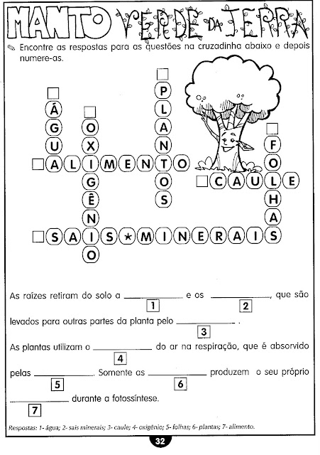 Atividades sobre as plantas ensino fundamental