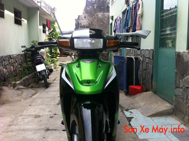 Satria sơn màu đen xanh Z1000