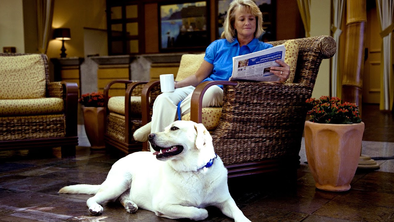 Dog Friendly Hotels Monterey