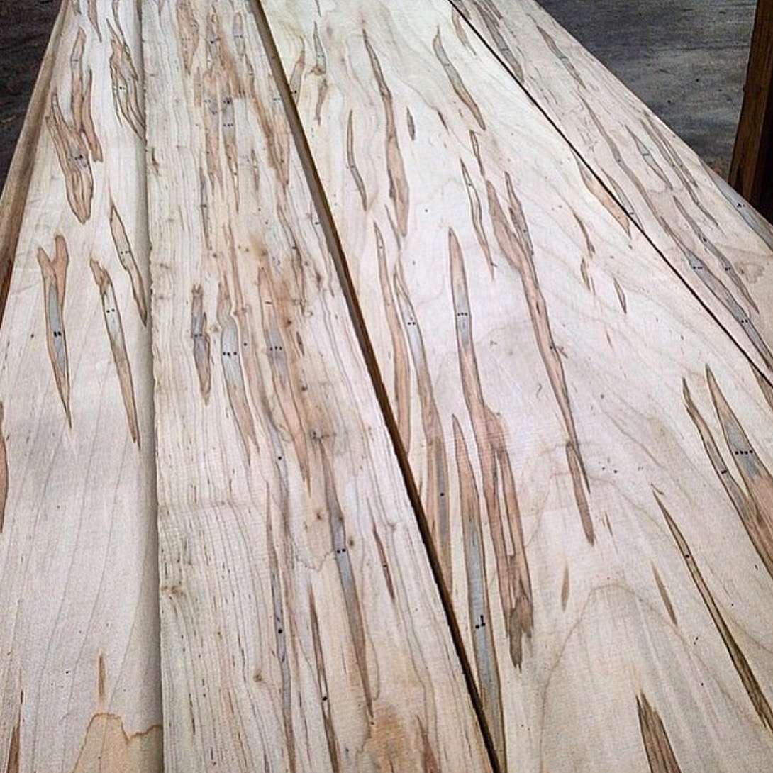 Ambrosia maple lumber