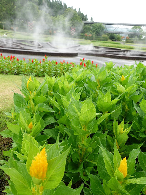 鳥取県西伯郡南部町鶴田　とっとり花回廊　霧の庭園