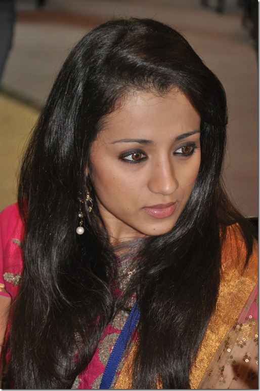 Trisha hot pics 7