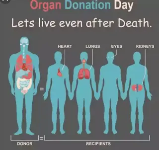 how to donate organs before death in india - भारत में मृत्यु से पहले अंगों का दान कैसे करें