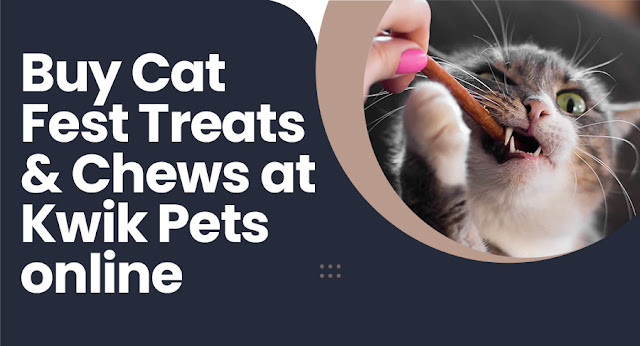 cat chew treats