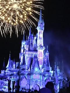 Evening Star Cinderella Castle Happily Ever After Disney World