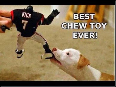 Best Chew Toy