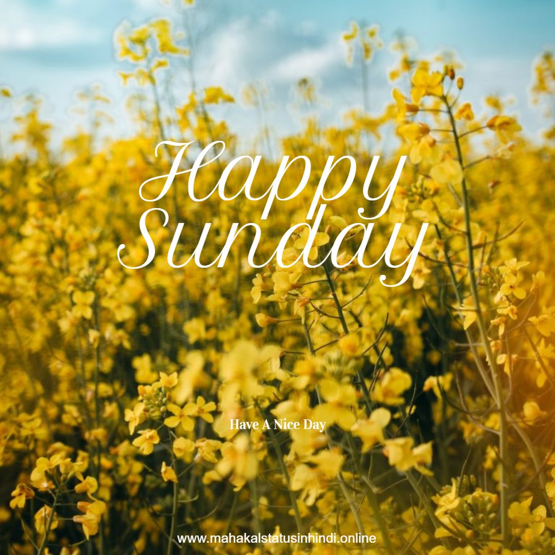 Happy Sunday Flowers  Images