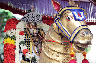 Udaiyavar,Emperumanar,Parthasarathy Perumal,Ramanujar, Varushotsavam, 2018, Video, Day 06,Vellai Sathupadi,Divya Prabhandam,Triplicane,Thiruvallikeni,Utsavam,Velambi,Tamil Puduvarudam