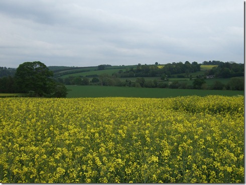 ross on wye 005
