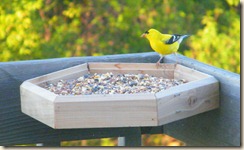 DSCF6684