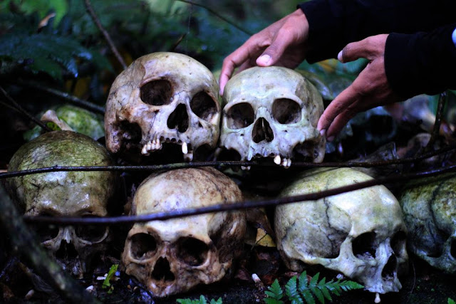 Bí ẩn thụ thần có khả năng xua đuổi mùi tử khí ở Indonesia