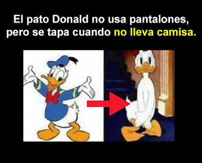 La lógica de las caricaturas pato lucas