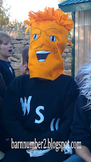 Homemade Wushock Costume