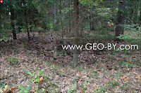 The former trenches in the location of Jerusalem in the forest of Puszcza Nalibocka