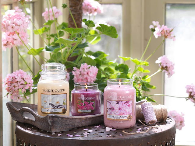 avis Verbena de Yankee Candle