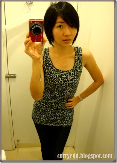 leopard2