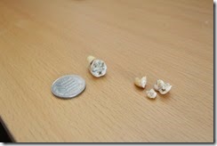 IMG_2098 IMG_2098