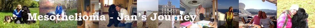 Mesothelioma - Jan's Journey