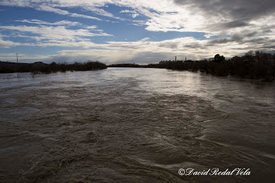 Río Ebro Tudela Navarra