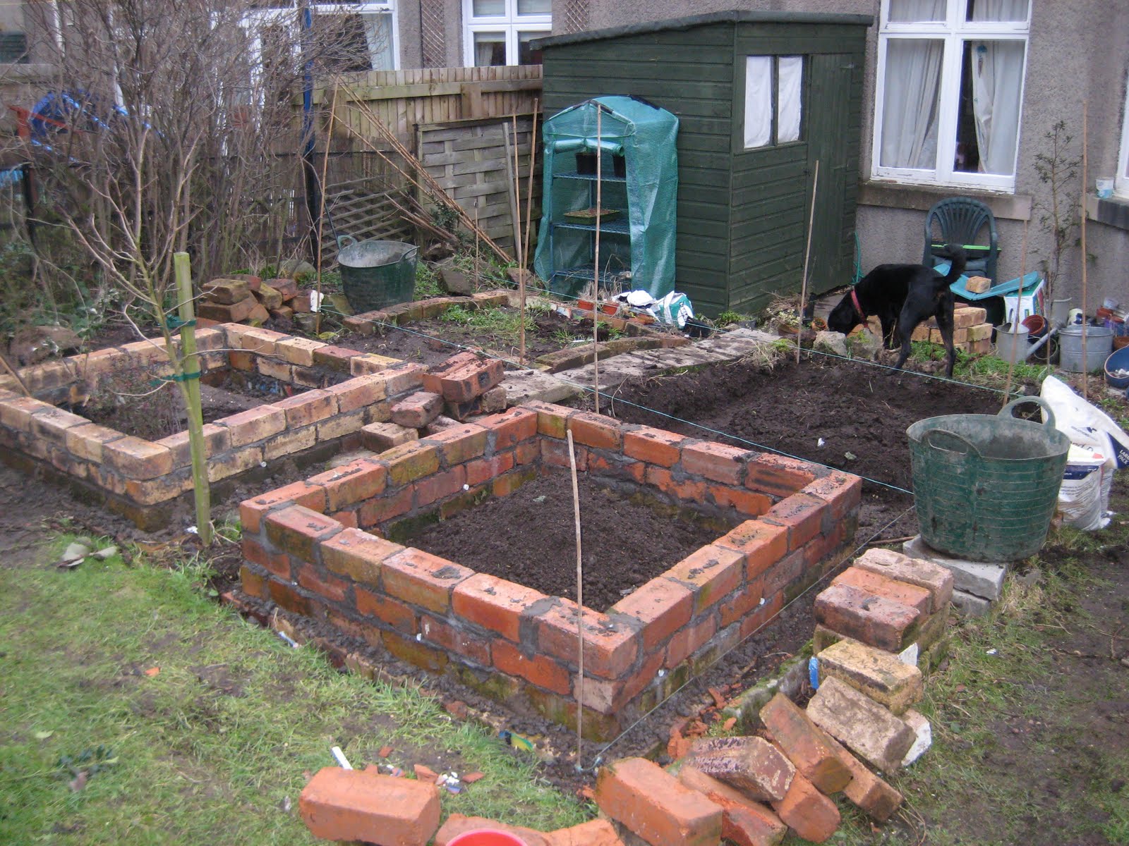 Mal's Allotment: June 2011