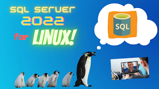 SQL Server 2022 public preview for LINUX