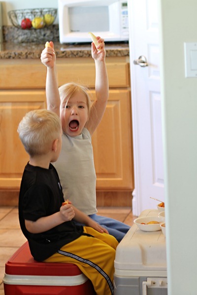 IMG_3588 IMG_3588