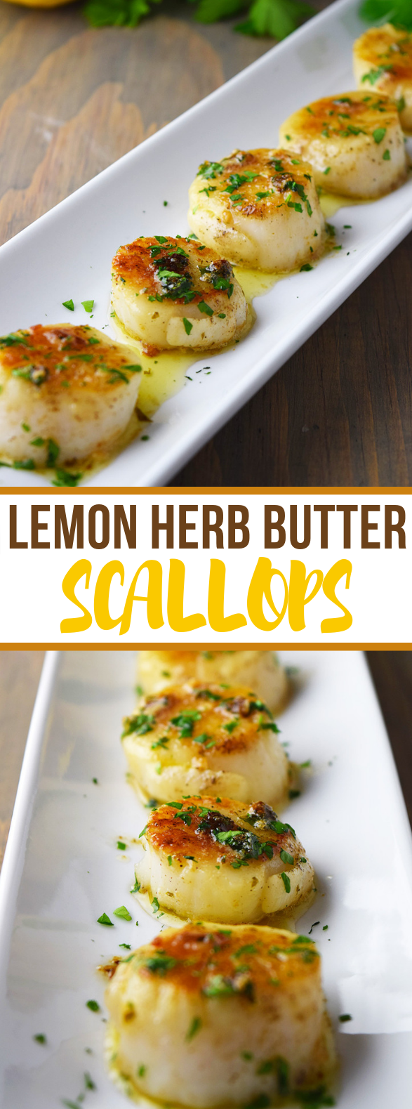 Pan-Seared Scallops with Lemon Butter Recipe #dinner #appetizer