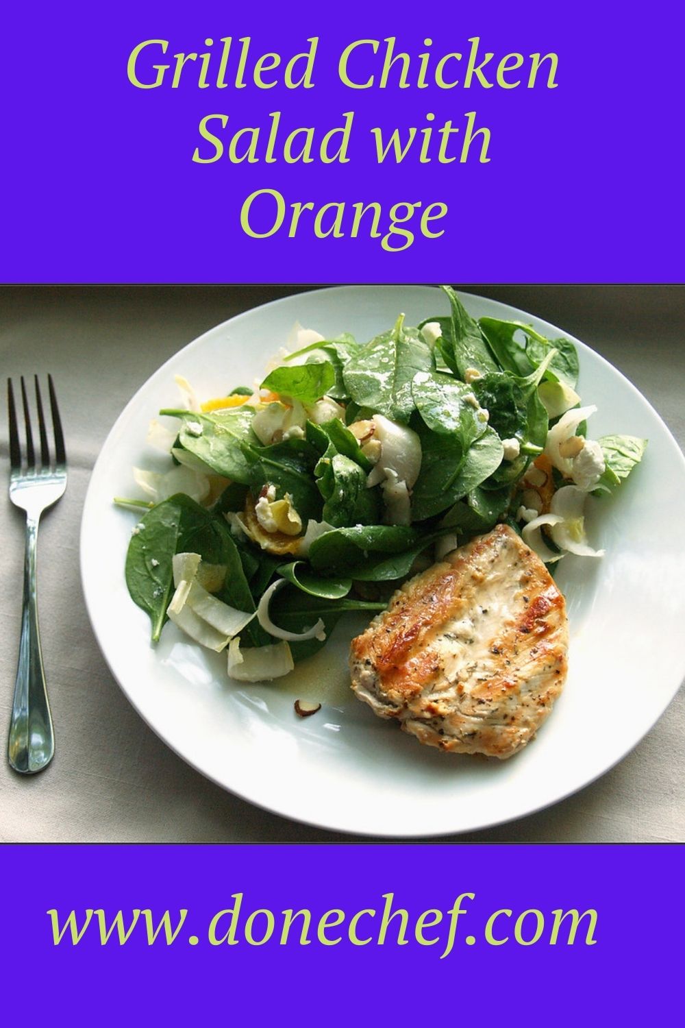 Grilled Chicken Salad with Orange