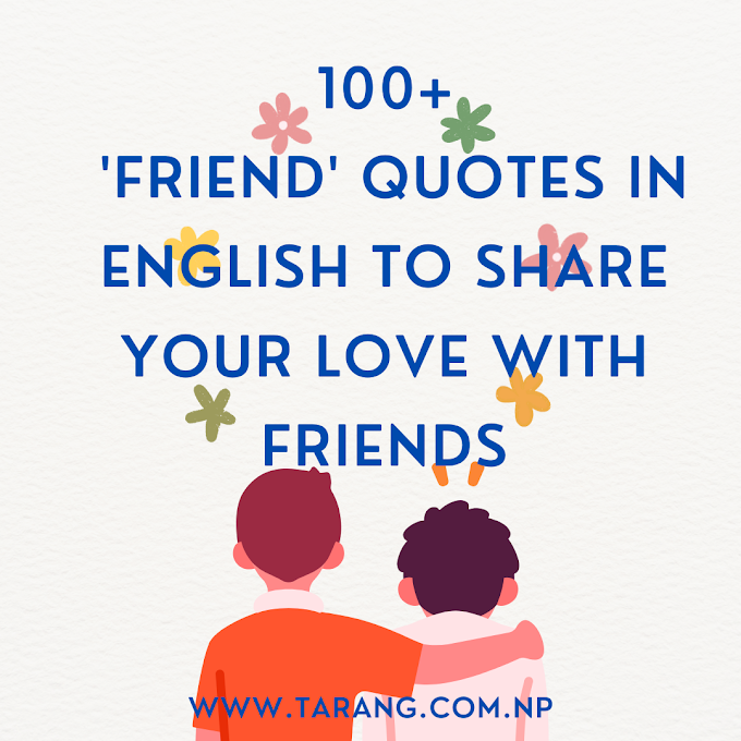 100+ Friendship Quotes In English To Share Your Love With Friends