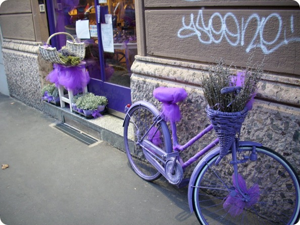 bici viola