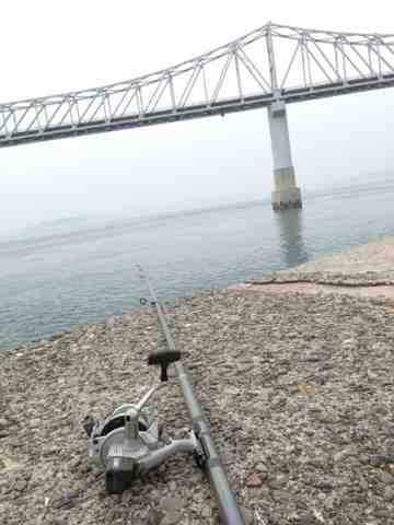 キスを釣りに広島の穴場スポットへ キス アイナメ ギザミなど 釣った魚は姿造りにしてみた イクメンライフハッカー