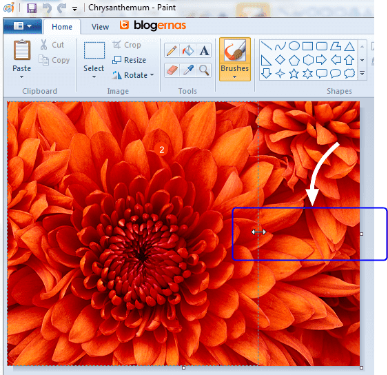 Cara Croping Gambar dg Paint WindowsCara Croping Gambar dg Paint Windows