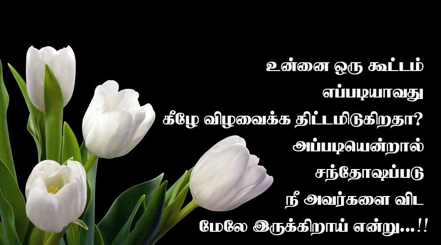 Tamil Motivation Quotes Images Chileatucd