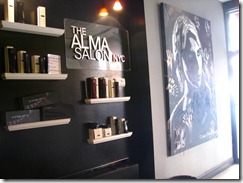 Alma Salon (13)