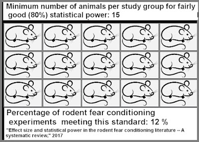 animal cognition experiments