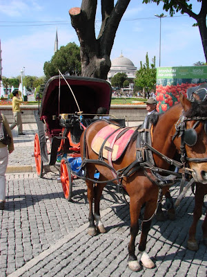 Horse Buggies @ Sultanahmet