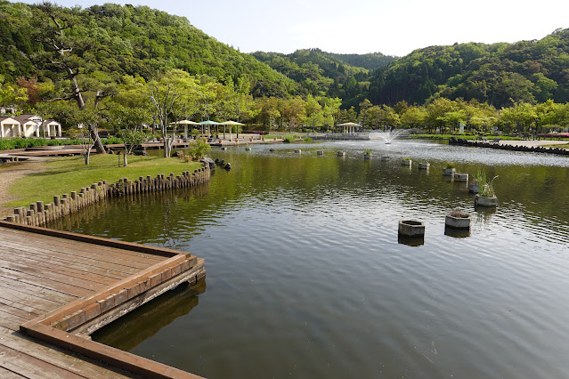 鳥取県東伯郡湯梨浜町藤津 東郷湖羽合臨海公園あやめ池公園