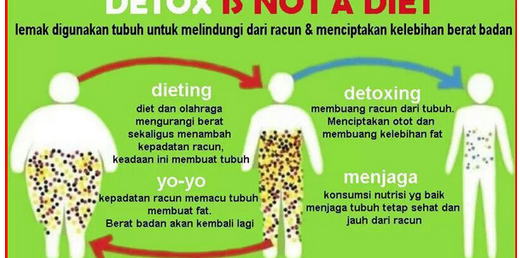 Cara Melangsingkan Tubuh Dengan Diet DETOX