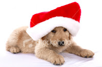 Christmas Puppy Desktop Wallpaper