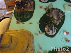 DSCF7132