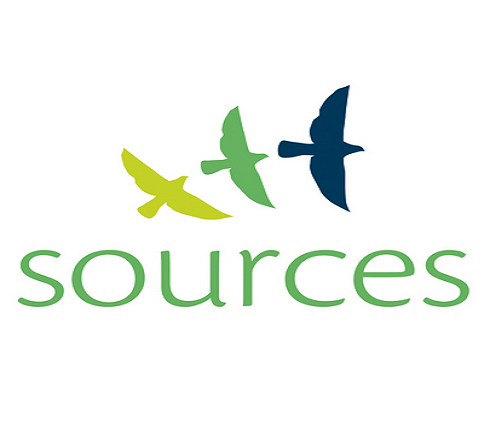 Describe the sources and problems in formulation of hypothesis