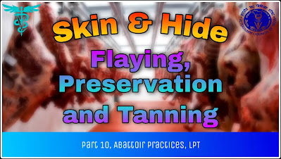 Skin and Hide - Flaying, Preservation and Tanning.