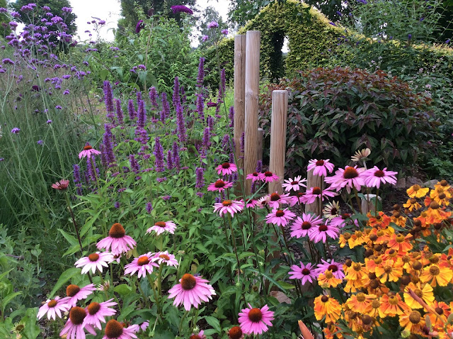 Voorbeeld van een border met planten in rijke verzadigde kleuren.