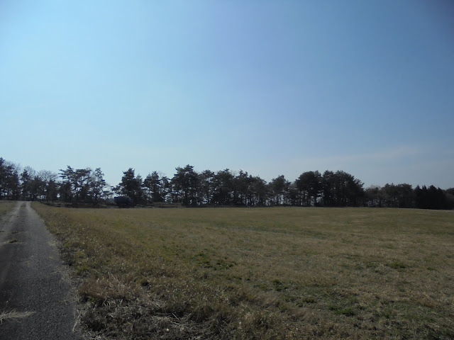 丸山ふれあいの森キャンプ場に行く道