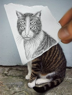 Drunk Effect - Cat Optical Illusion